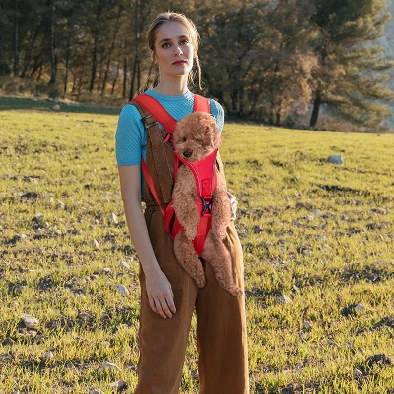 Petit sac à dos pour chien