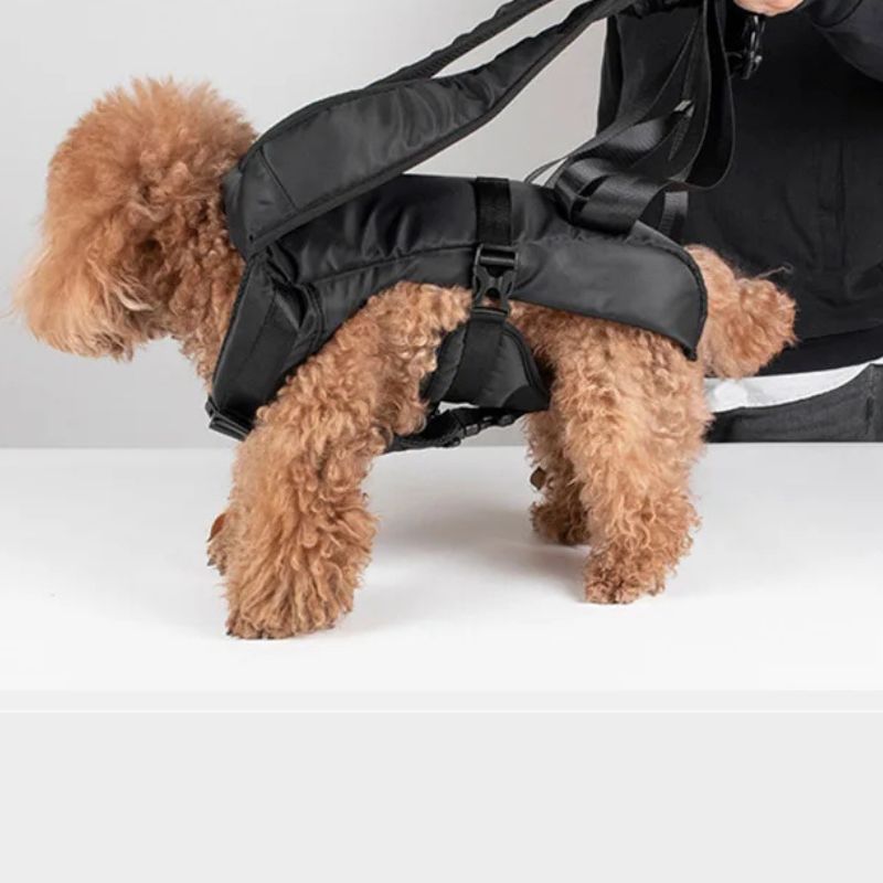 Sac à dos porte-chien – Idéal pour randonnées et voyages