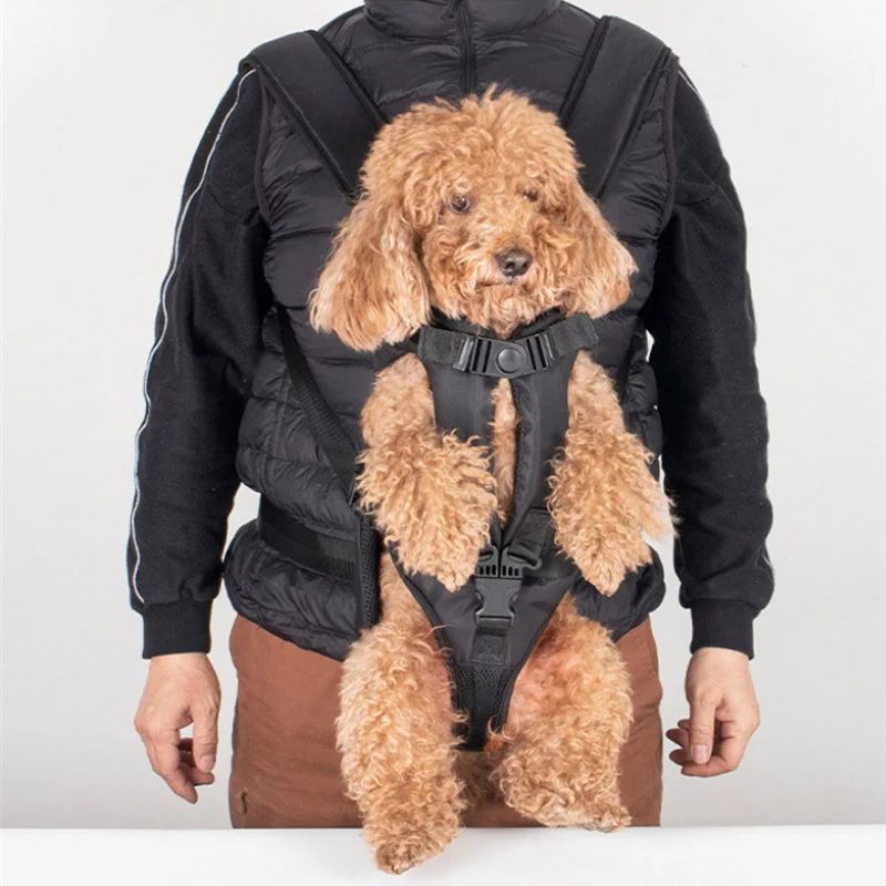 Sac à dos porte-chien – Idéal pour randonnées et voyages