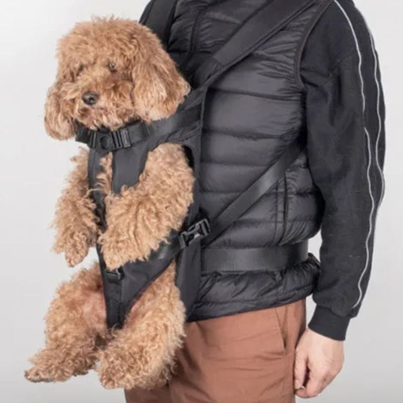 Sac à dos porte-chien – Idéal pour randonnées et voyages