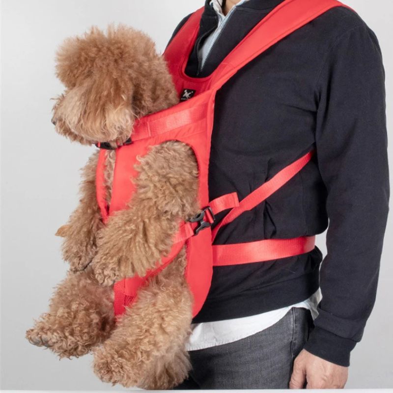 Sac à dos porte-chien – Idéal pour randonnées et voyages
