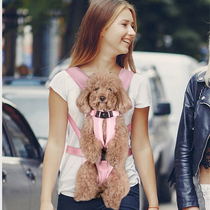 Sac à dos porte-chien – Idéal pour randonnées et voyages
