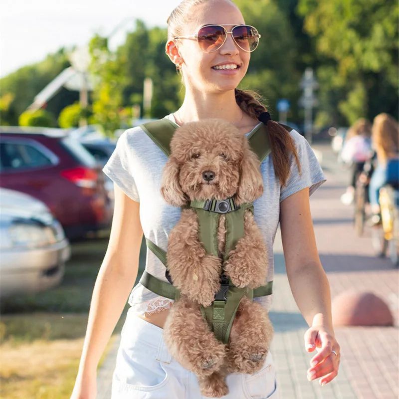 Sac à dos porte-chien – Idéal pour randonnées et voyages
