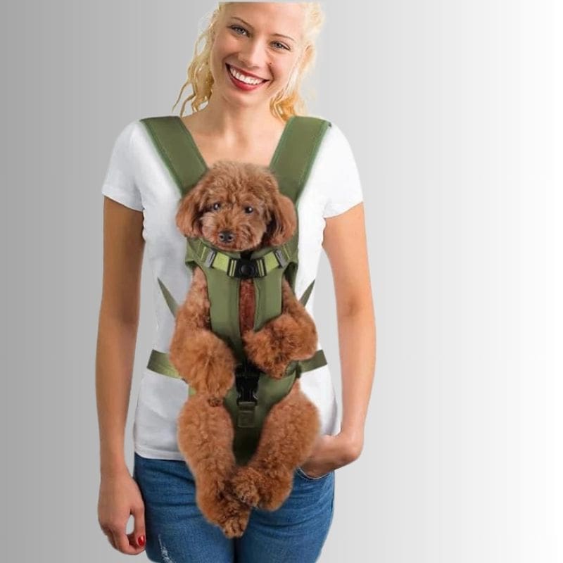 sac a dos chien rando