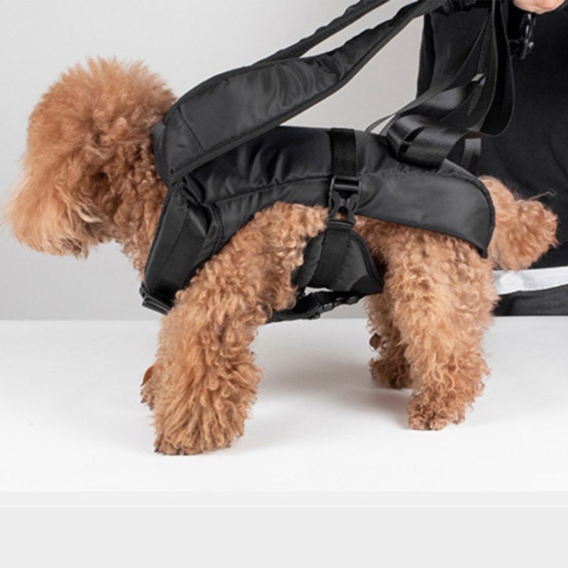 Sac à dos chien pour randonnée