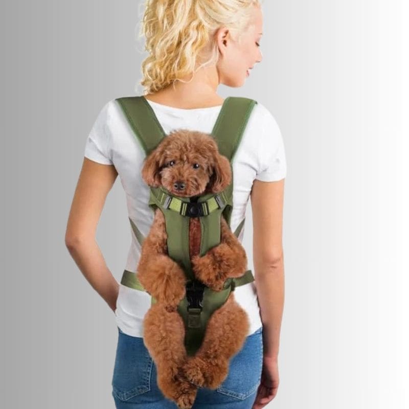 sac a dos chien rando