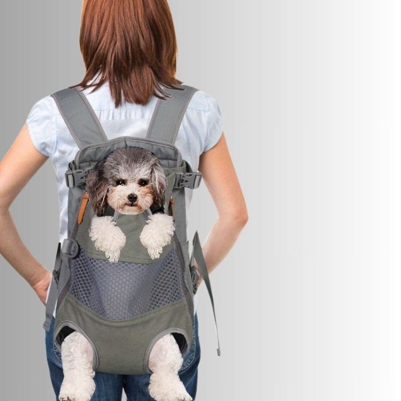 https://sacetvoyage.fr/products/sac-a-dos-hublot-chat