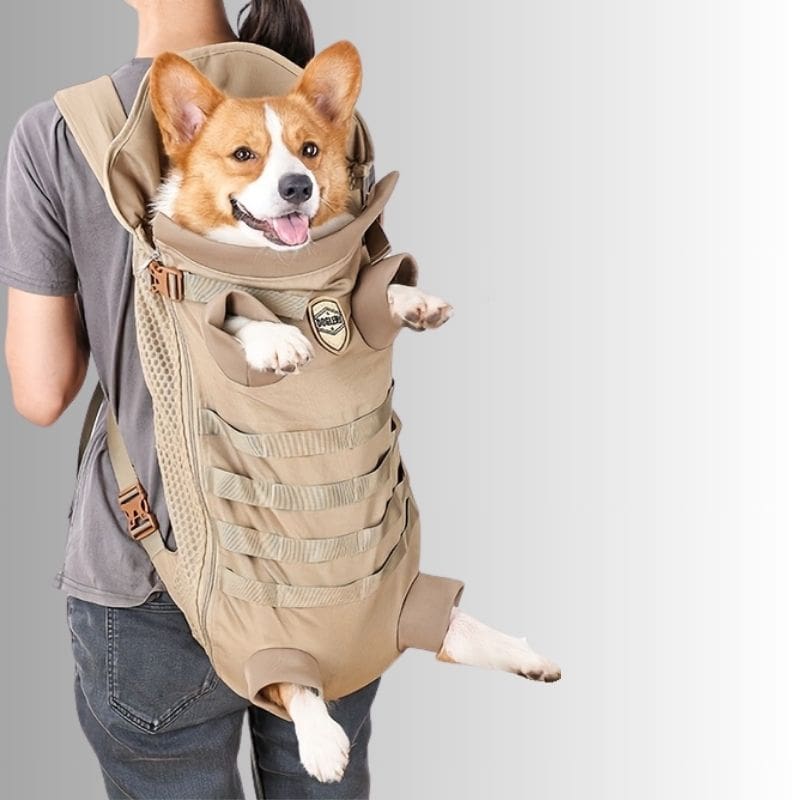 Sac à dos de transport pour chien