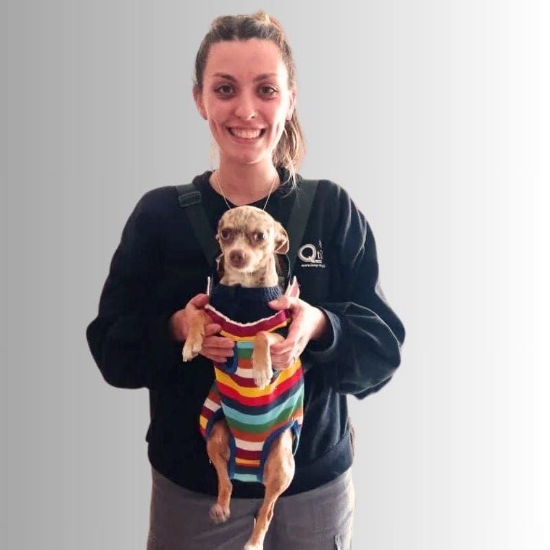 sac a dos de transport pour petit chien