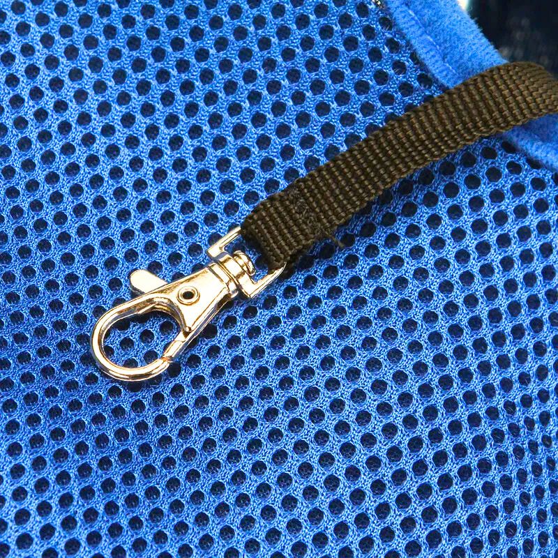 Sac à dos de transport pour petit chien