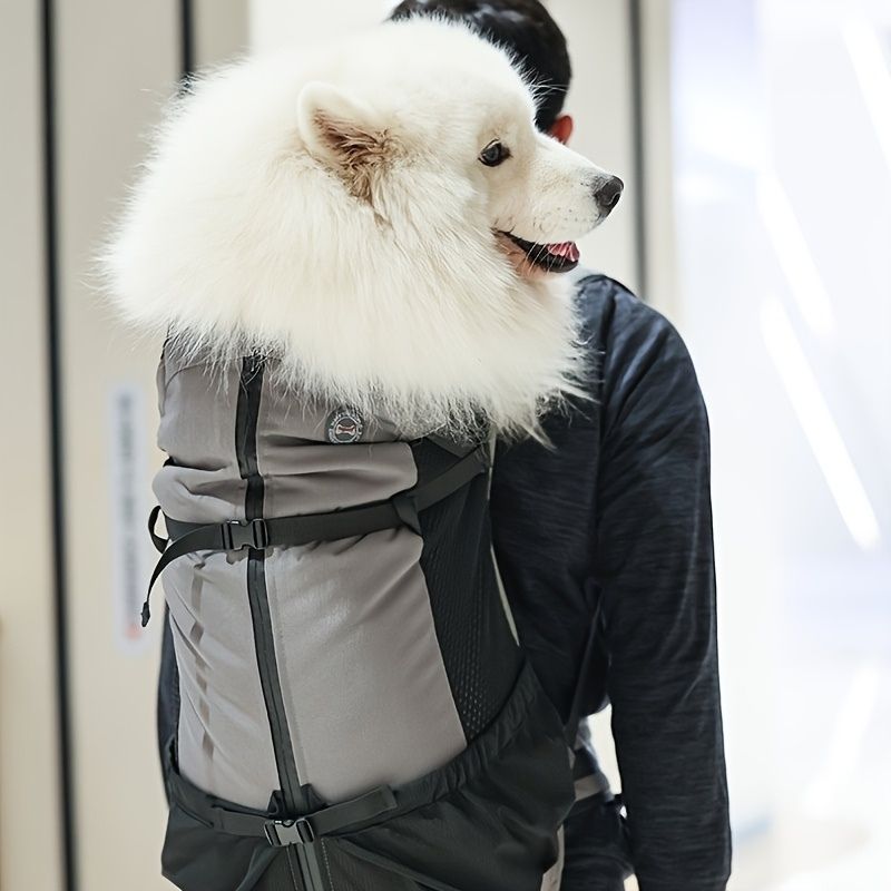 sac a dos gros chien