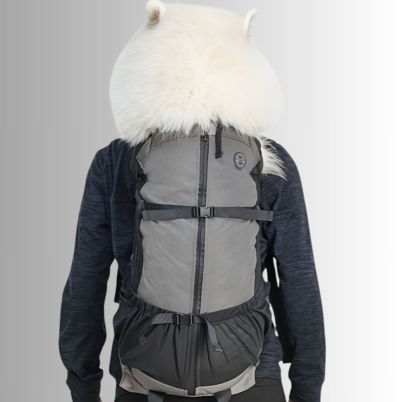 sac a dos gros chien
