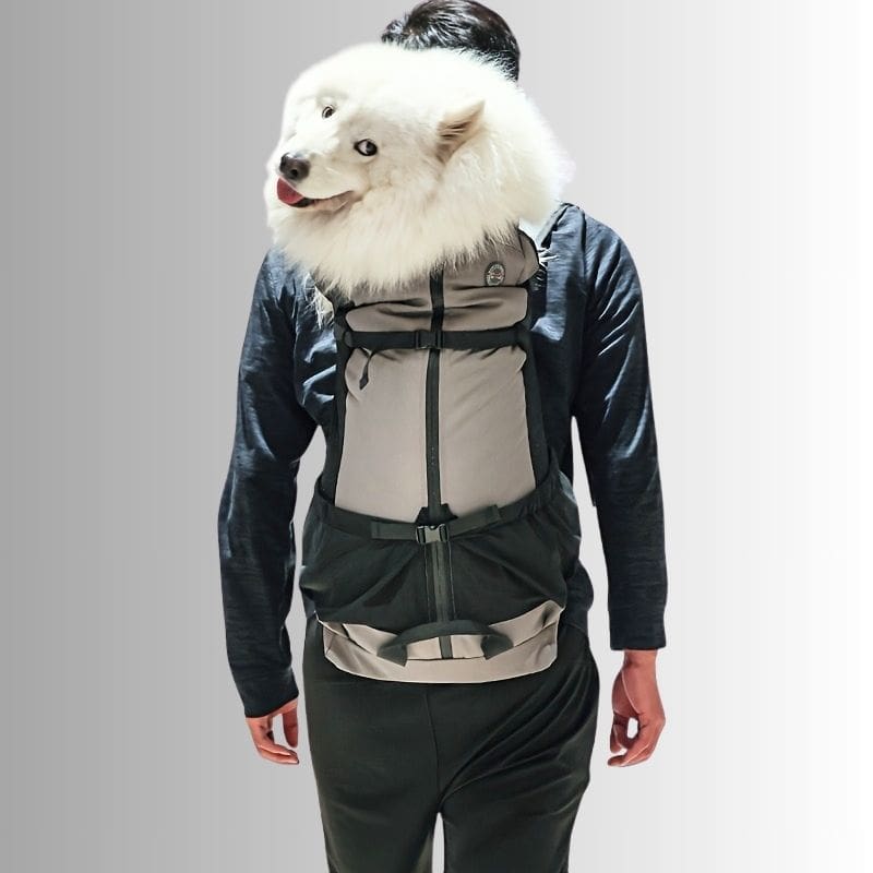 sac a dos gros chien