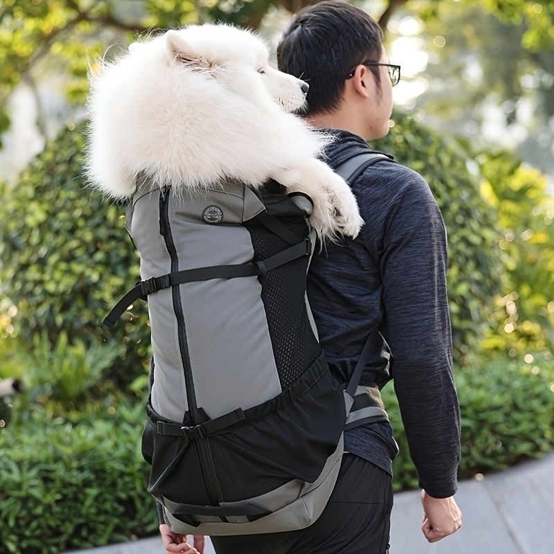 sac a dos gros chien