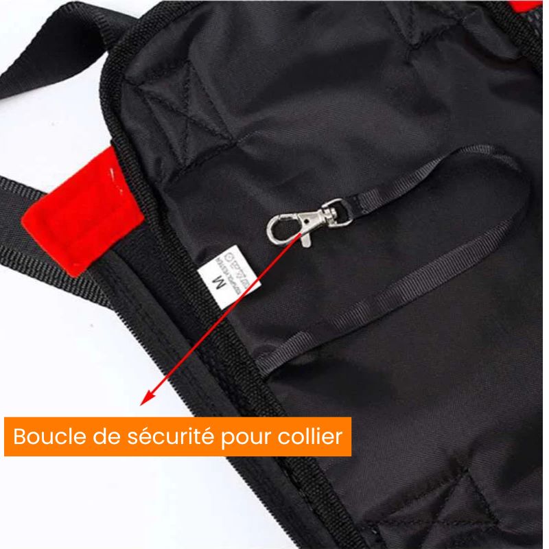 Sac à dos pour petit chien