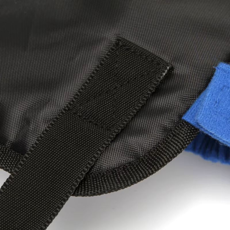Sac à dos pour petit chien