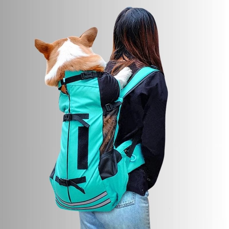 sac a dos pour chien 15kg