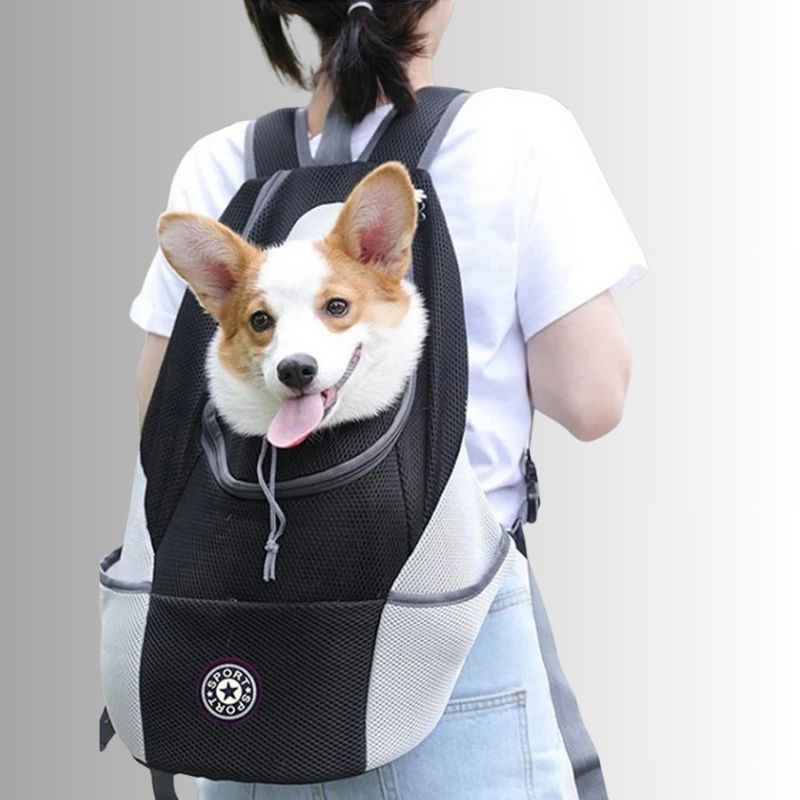 sac a dos de transport chien 10kg