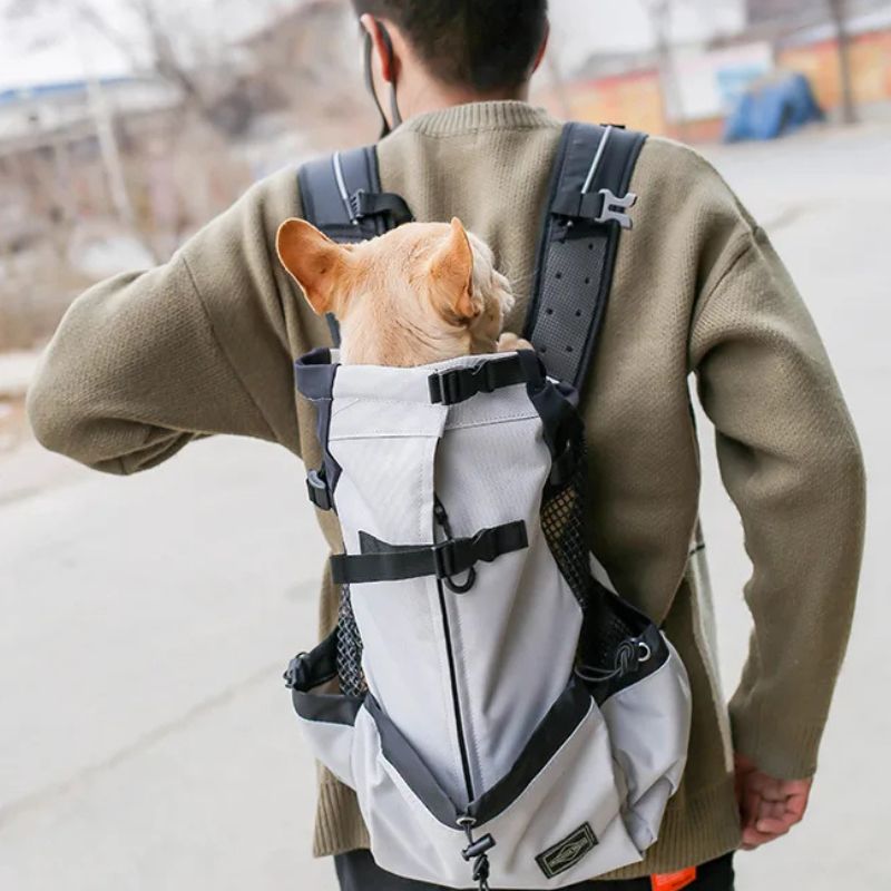 sac a dos de transport pour chien