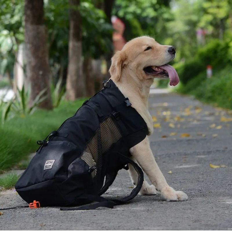 sac a dos de transport pour chien