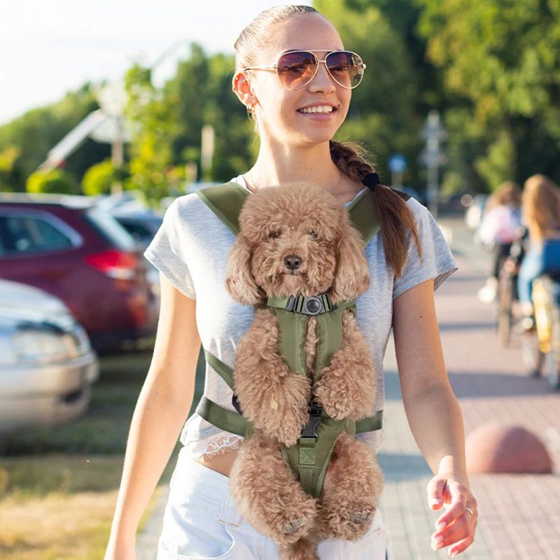 Petit sac à dos pour chien