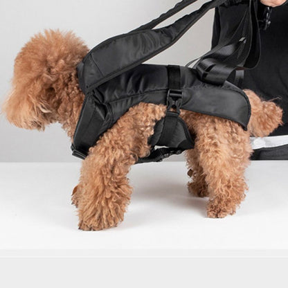 Sac à dos chien pour randonnée
