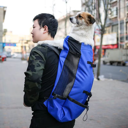 Sac a dos moto pour chien