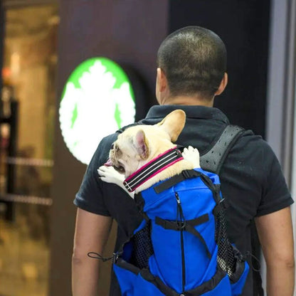 Sac a dos moto pour chien