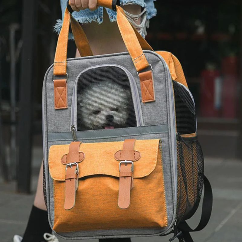 sac a dos chien 10kg