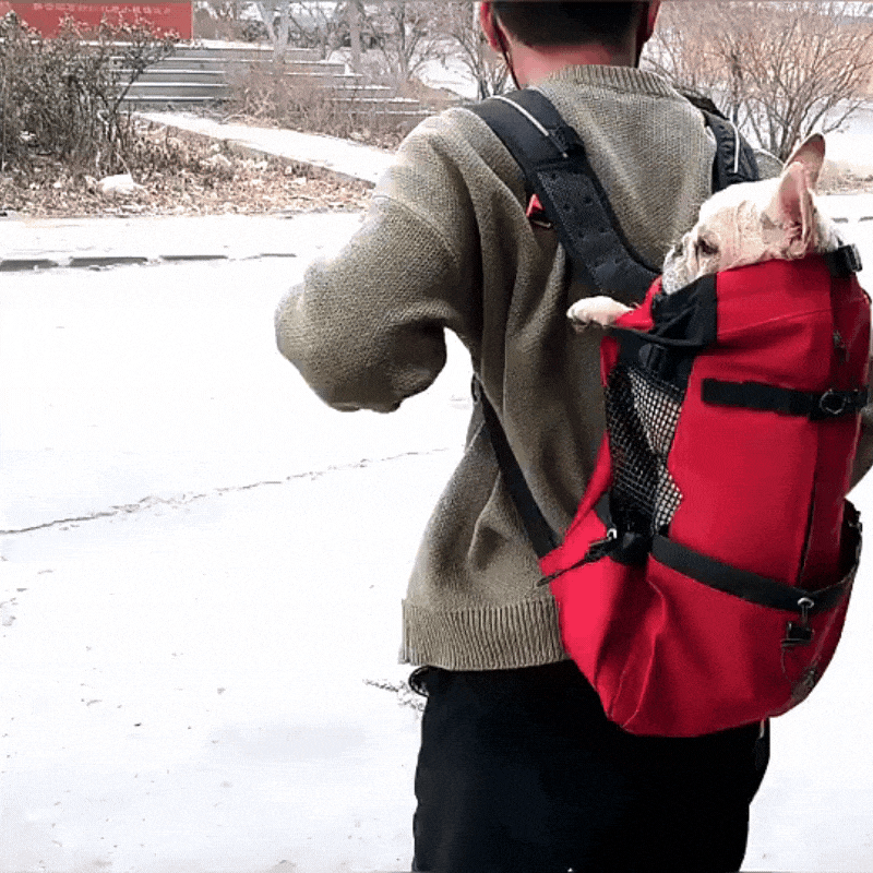 sac a dos pour porter un chien