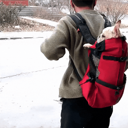 sac a dos pour porter un chien