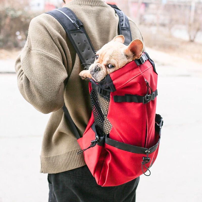 sac a dos pour porter un chien