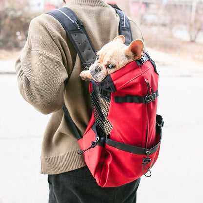 sac a dos pour porter un chien