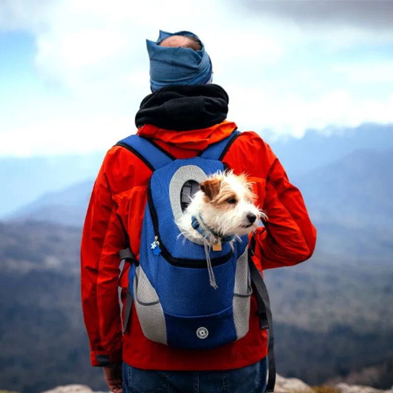 sac a dos de transport chien 10kg