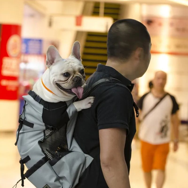 sac a dos de transport pour chien