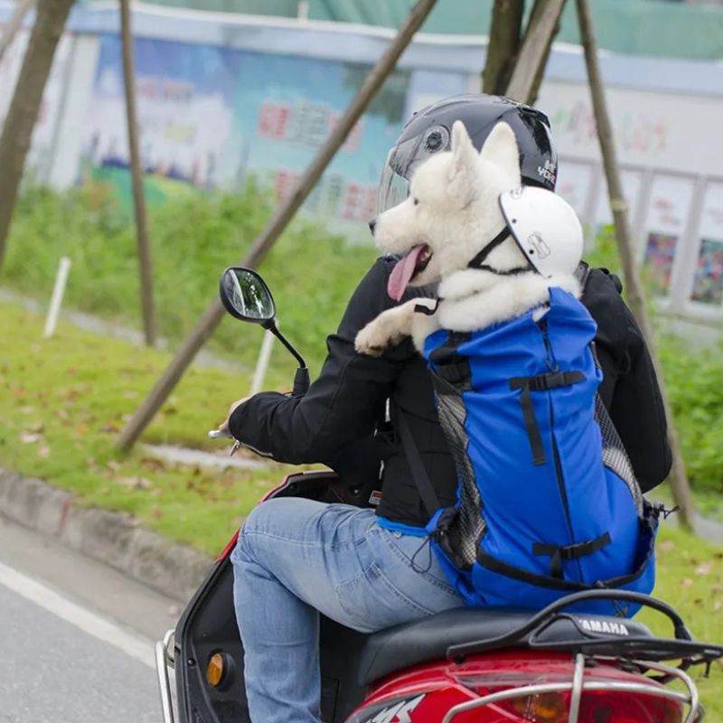 sac a dos de transport pour chien