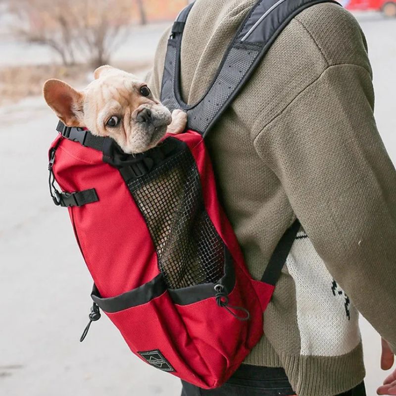 sac a dos de transport pour chien